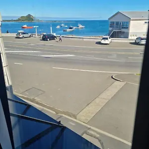 Modern & Cosy Studio Unit On Island Bay Beachfront , Wellington New Zealand